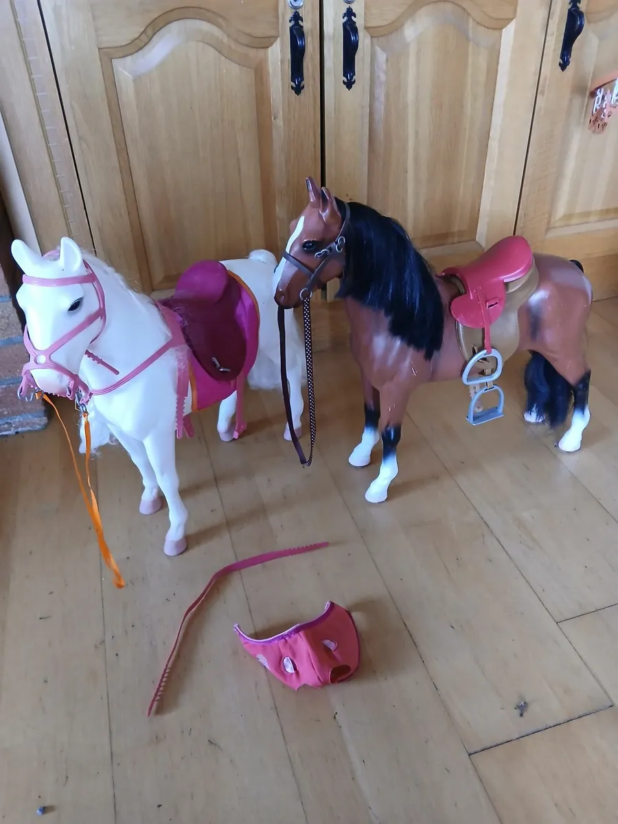 My generation horses