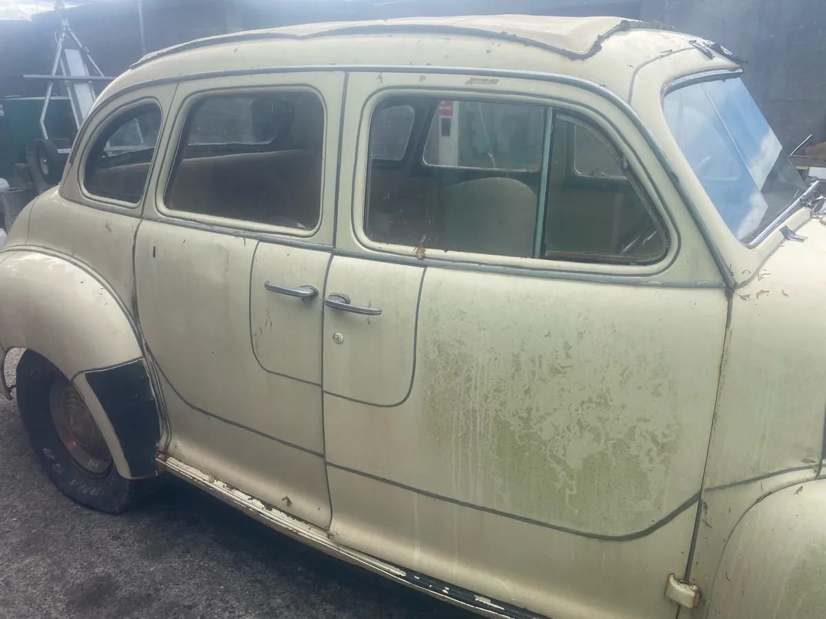 Nash Ambassador - Image 2