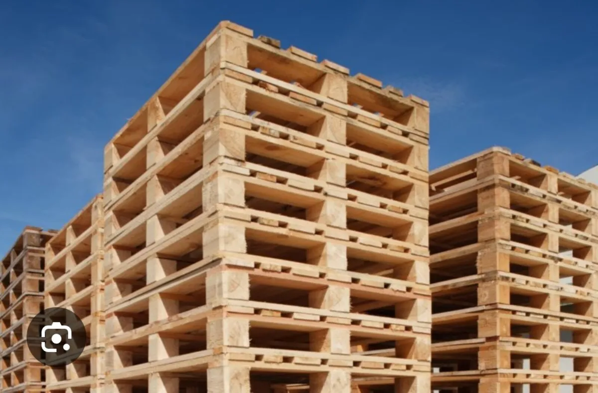Clean Pallets wanted