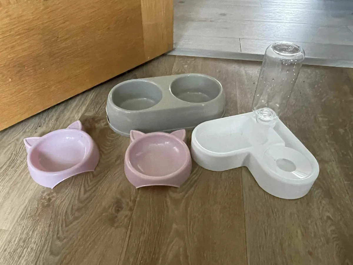 cat /dog assesories - Image 2
