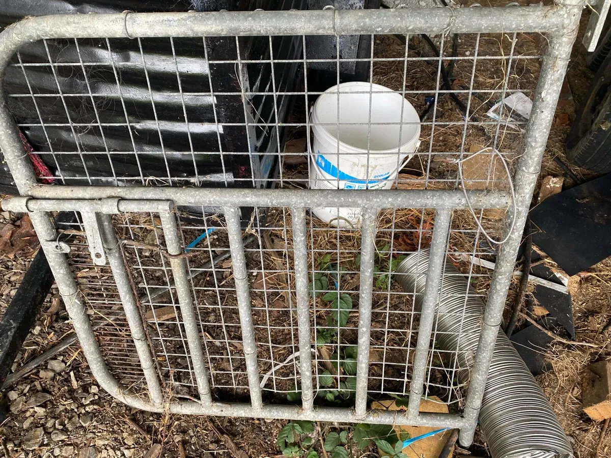 Galvanised Gate with Mesh - Image 1