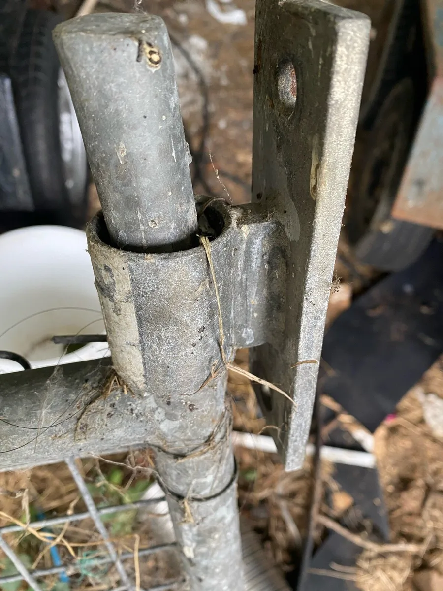 Galvanised Gate with Mesh - Image 2
