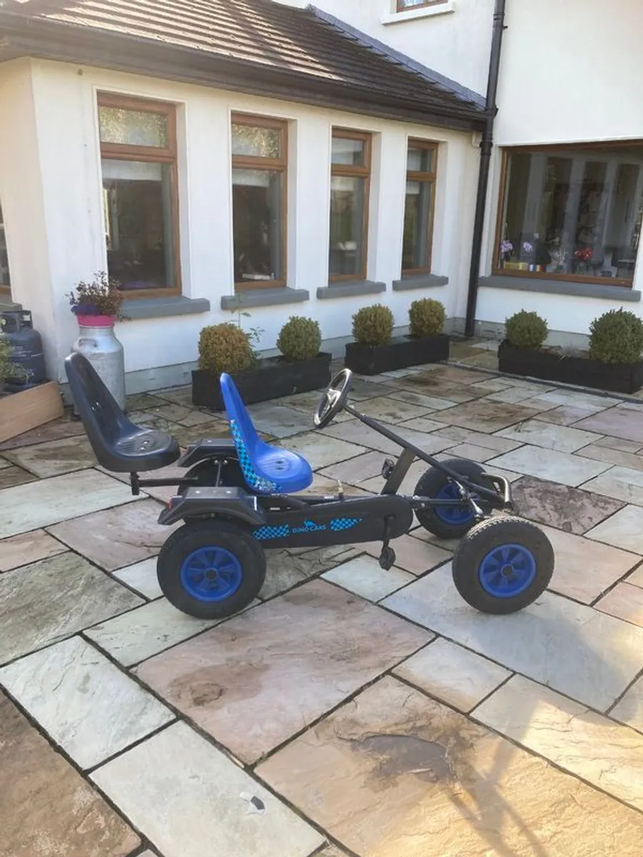Dino Go - Kart (double seat) - Image 1