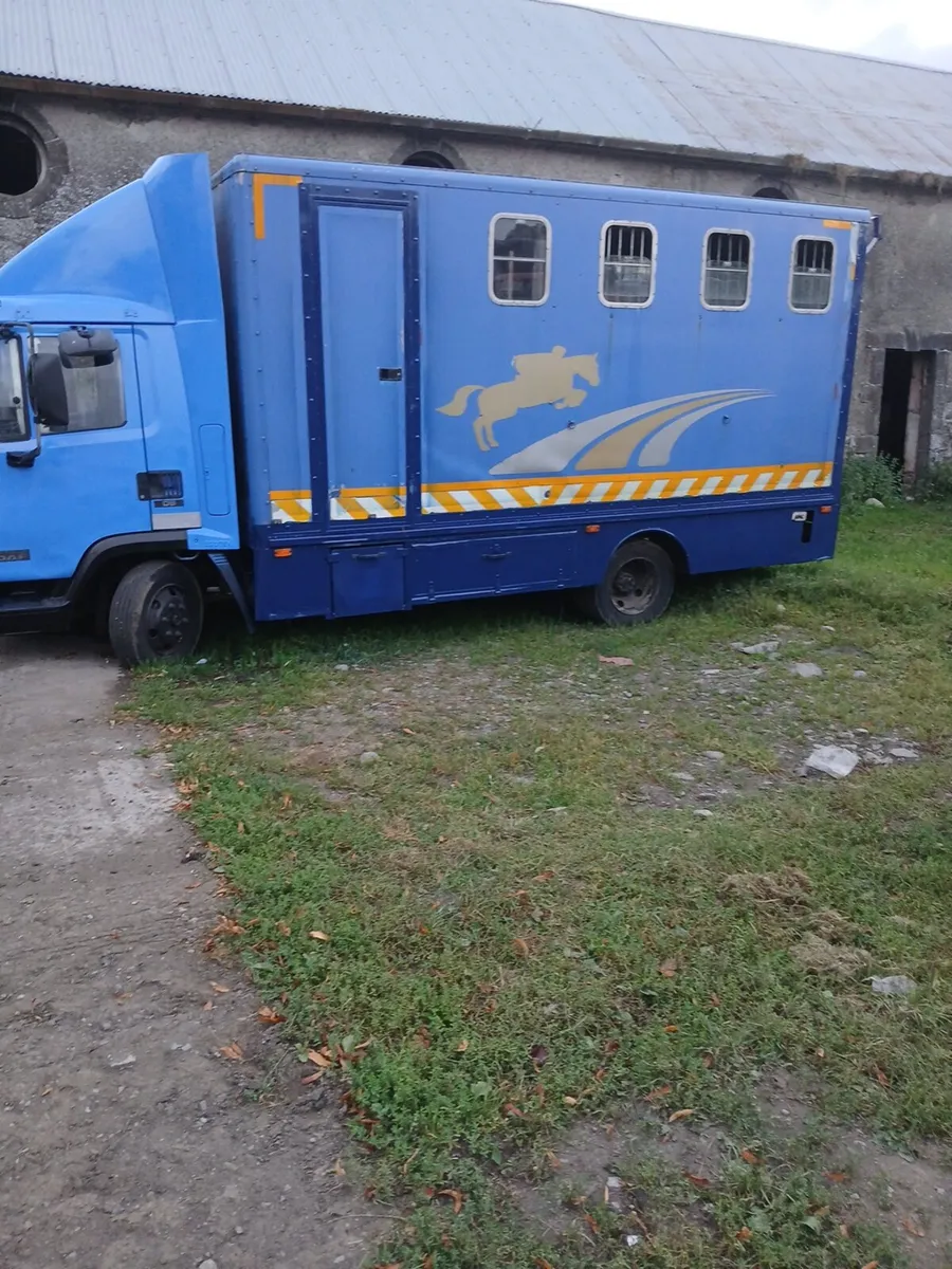 Daf horse truck - Image 4