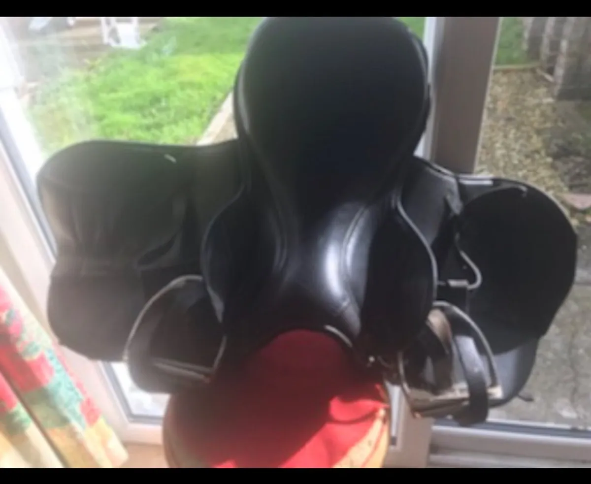 Saddles - Image 1