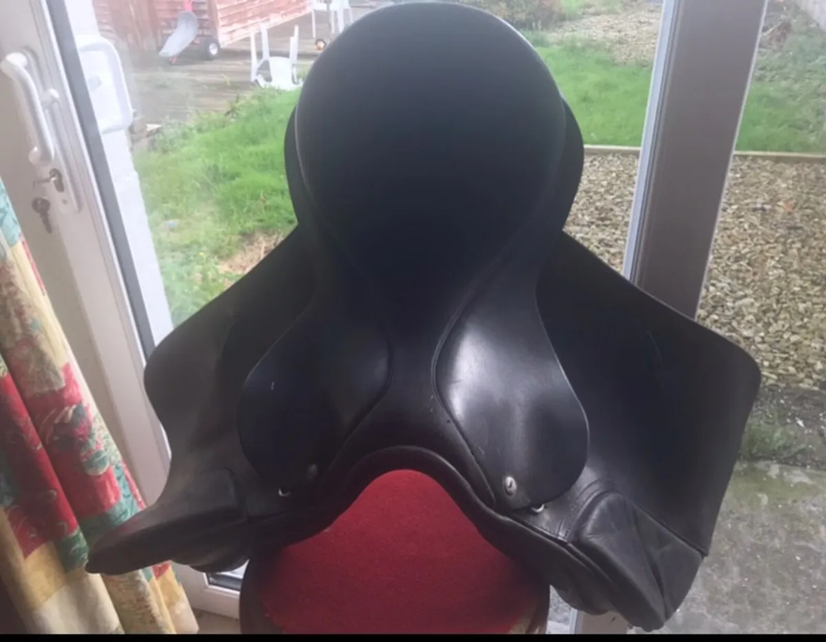 Saddles - Image 2