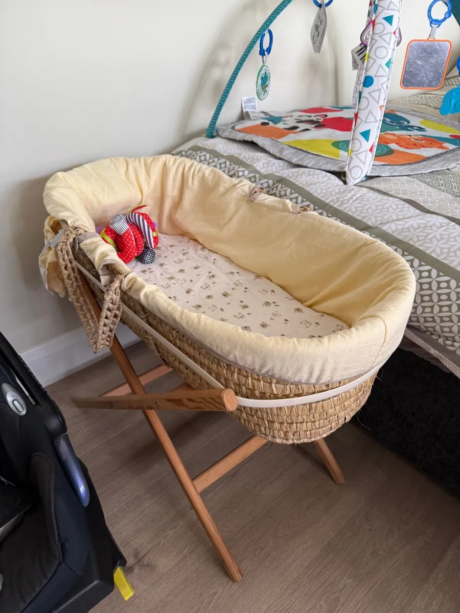 Moses basket