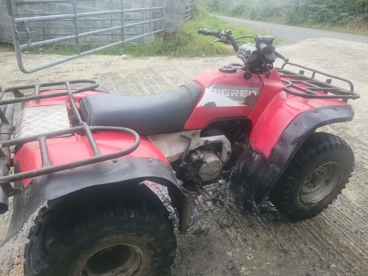 Honda Big Red 300cc 2WD - Image 1