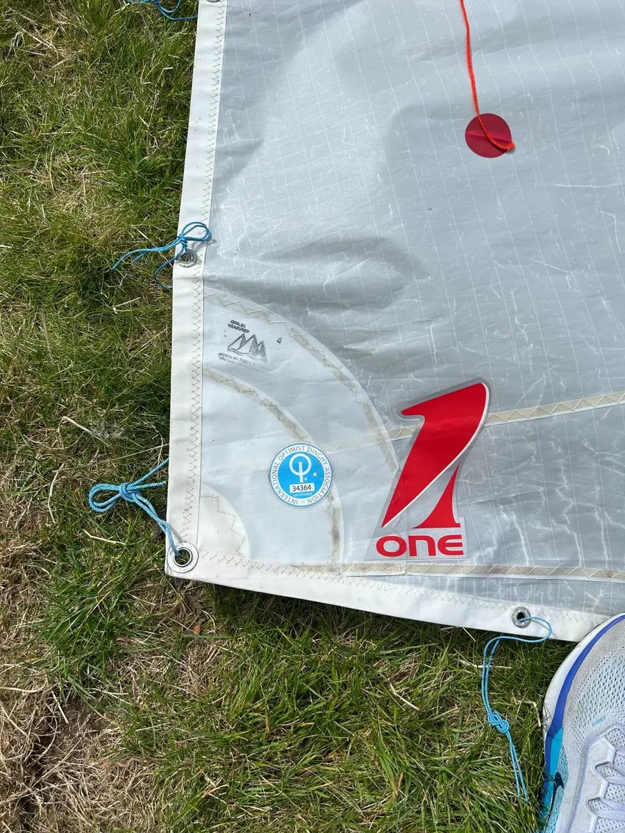 Optimist J and 1 Sails for Sale - Image 4