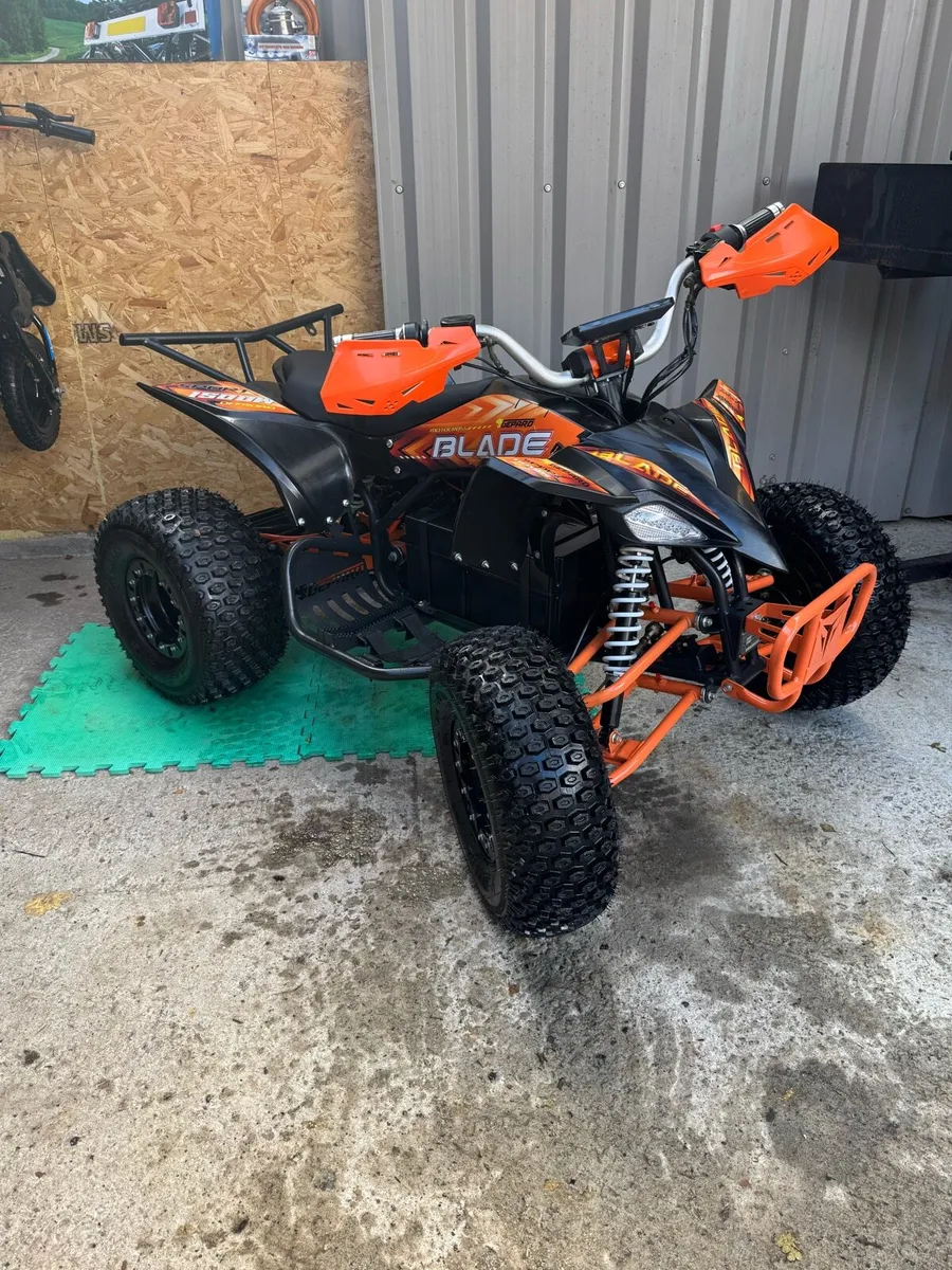 Replay 1000W 48V XXL Kids Electric Quad - Image 1