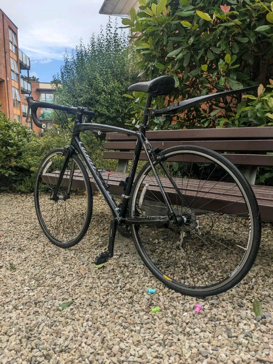Specialized Allez Road Bike - Image 2