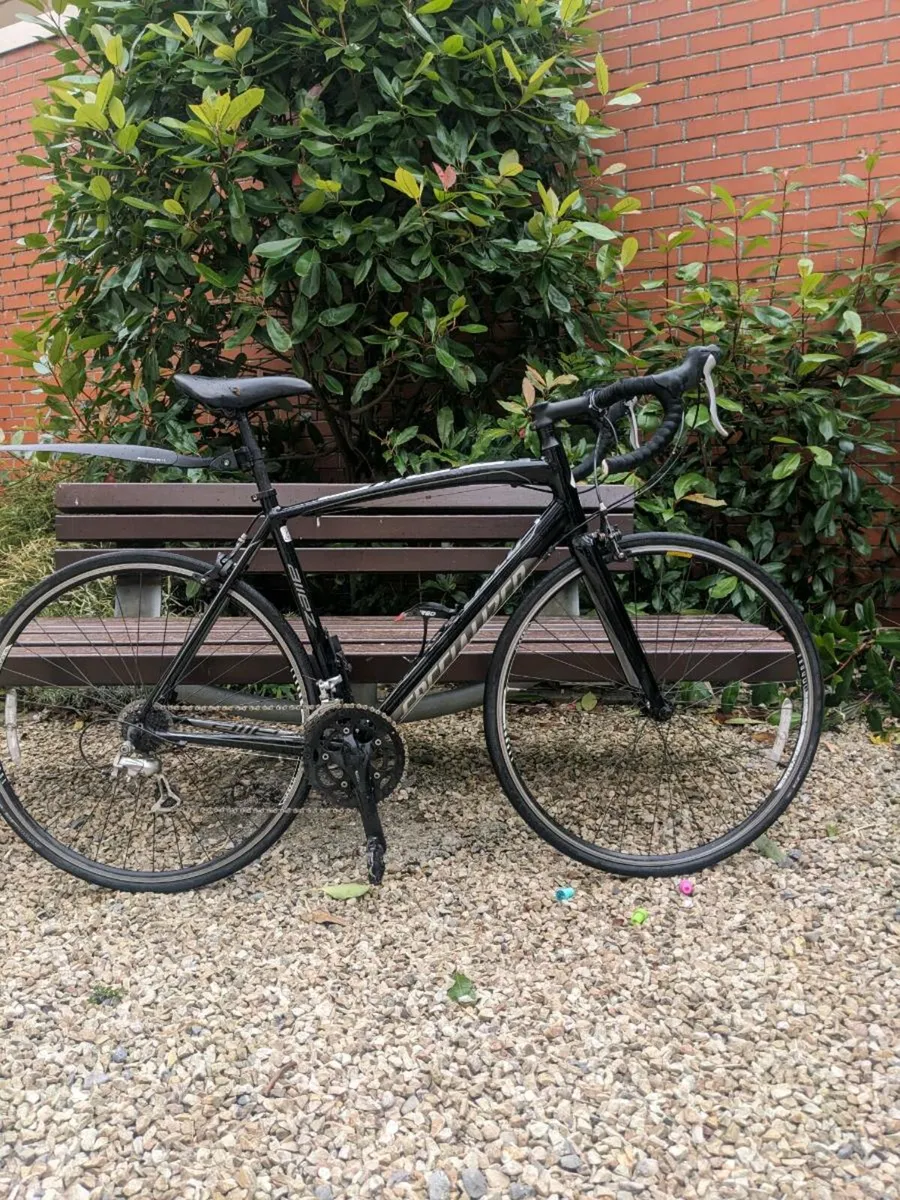 Specialized Allez Road Bike - Image 3