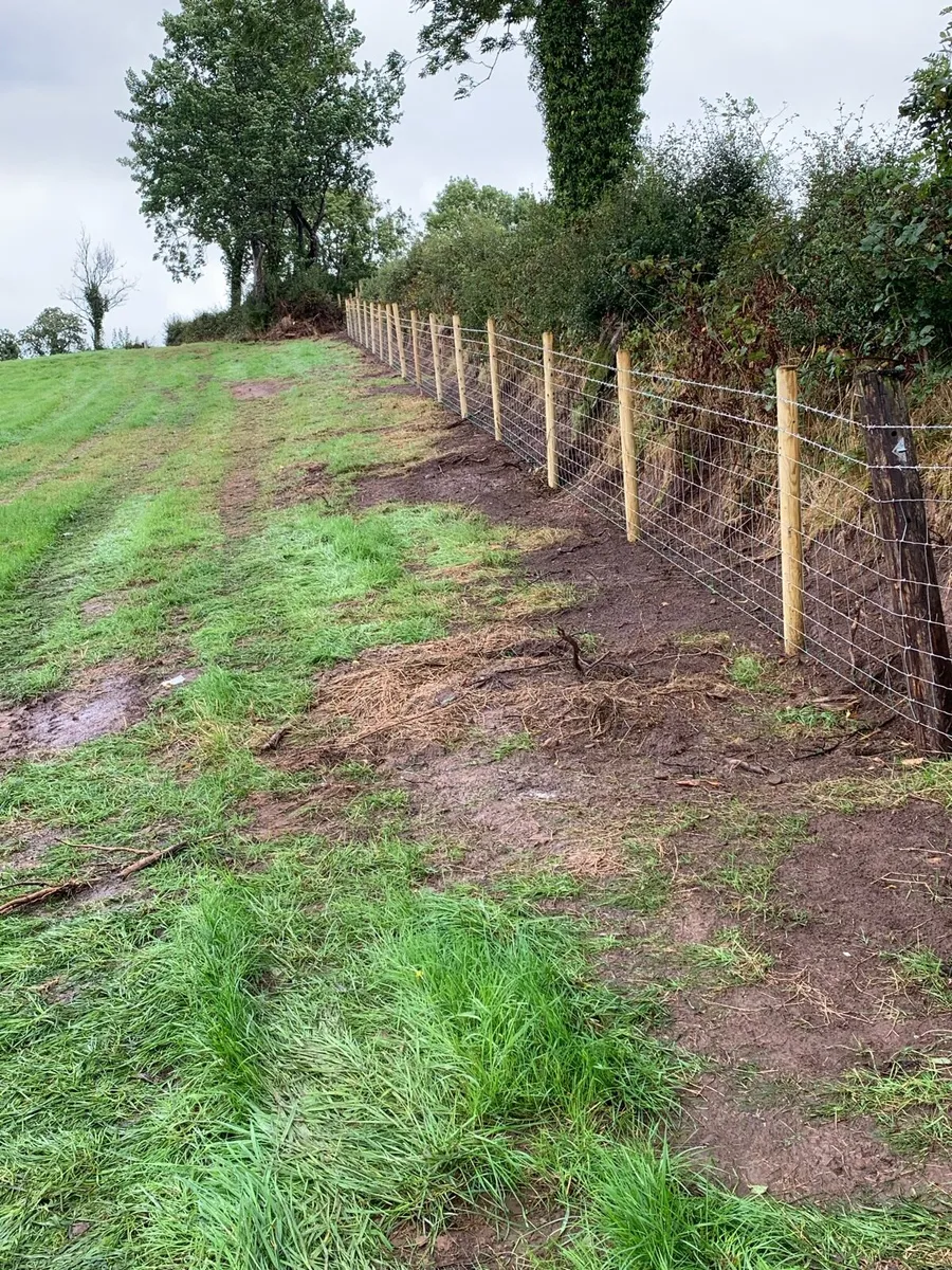 Healy Agri fencing - Image 3
