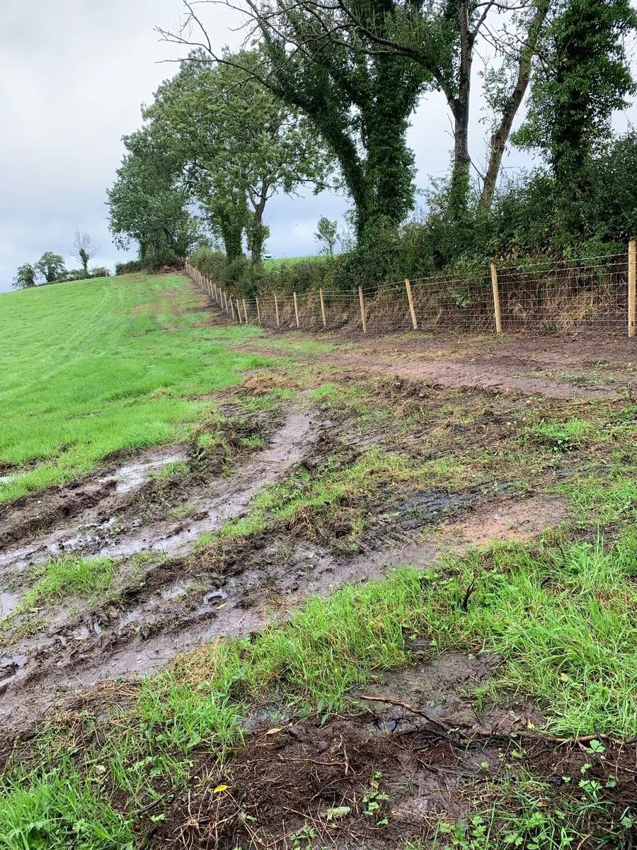 Healy Agri fencing - Image 4
