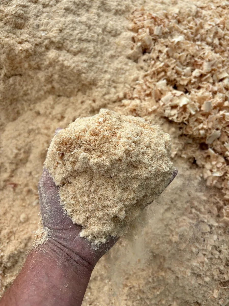 Sawdust - Image 1