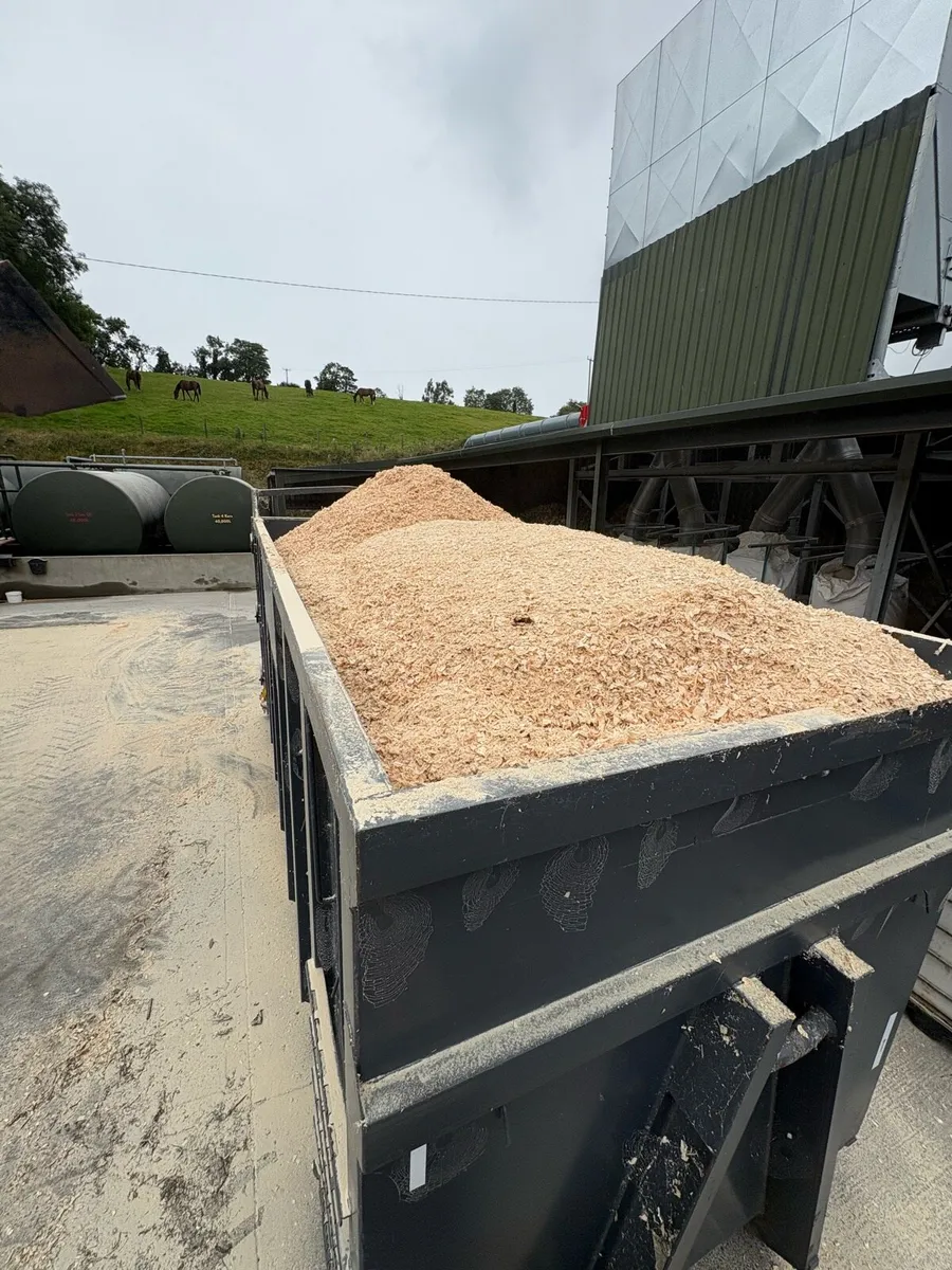 Sawdust - Image 2