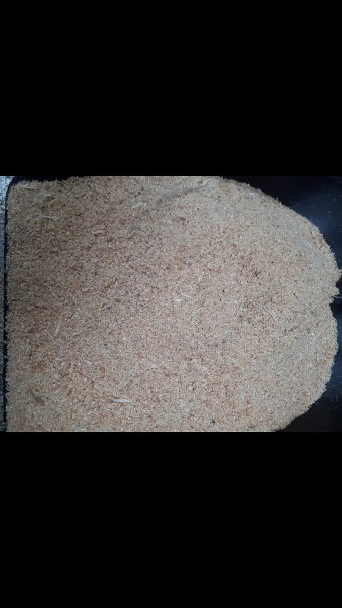 Sawdust - Image 4