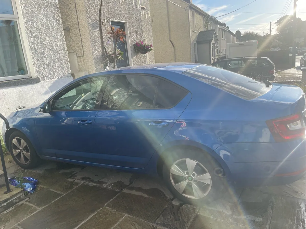 Skoda octavia 2019 automatic dsg - Image 2