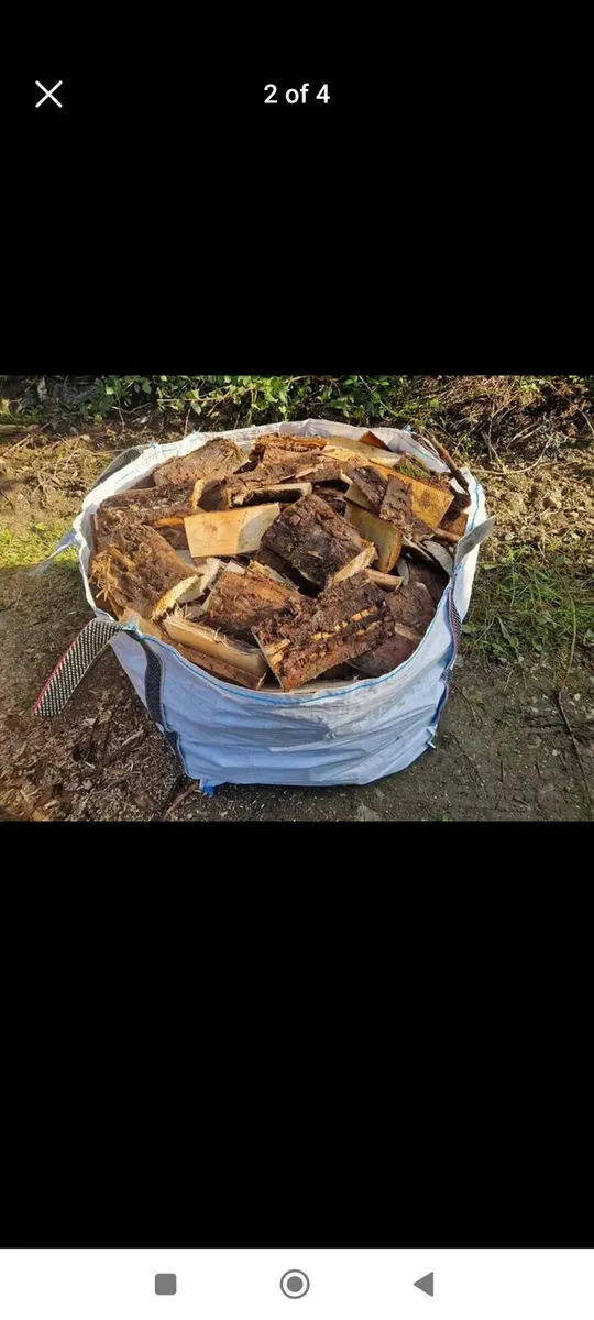 Hardwood softwood - Image 3