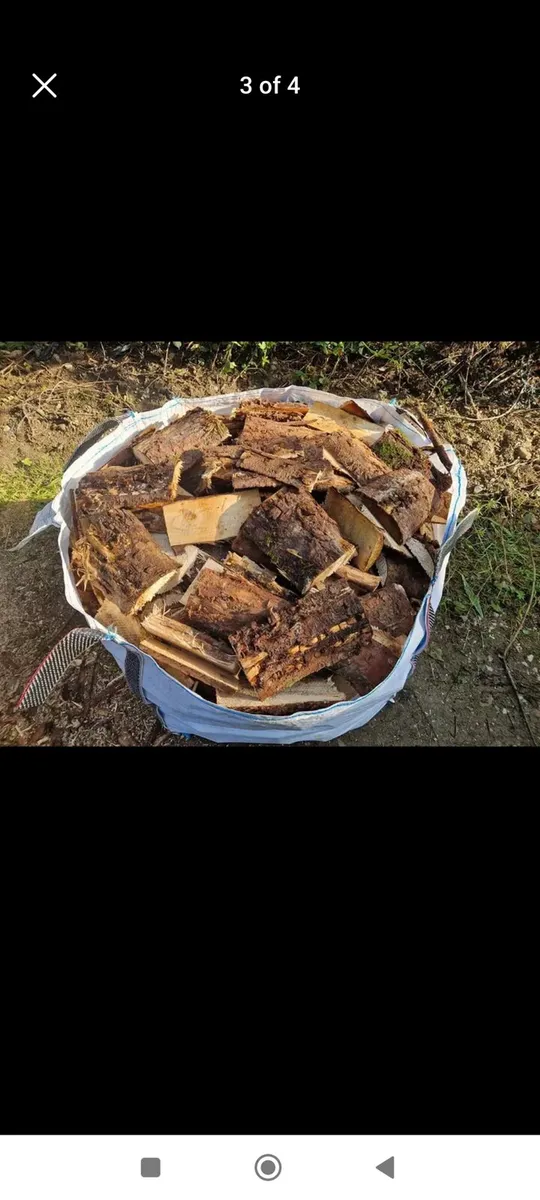 Hardwood softwood - Image 4