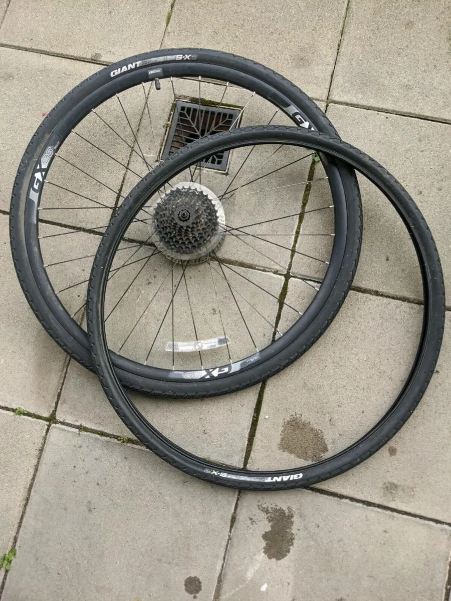 Giant Rear Wheel & tyres - Image 1
