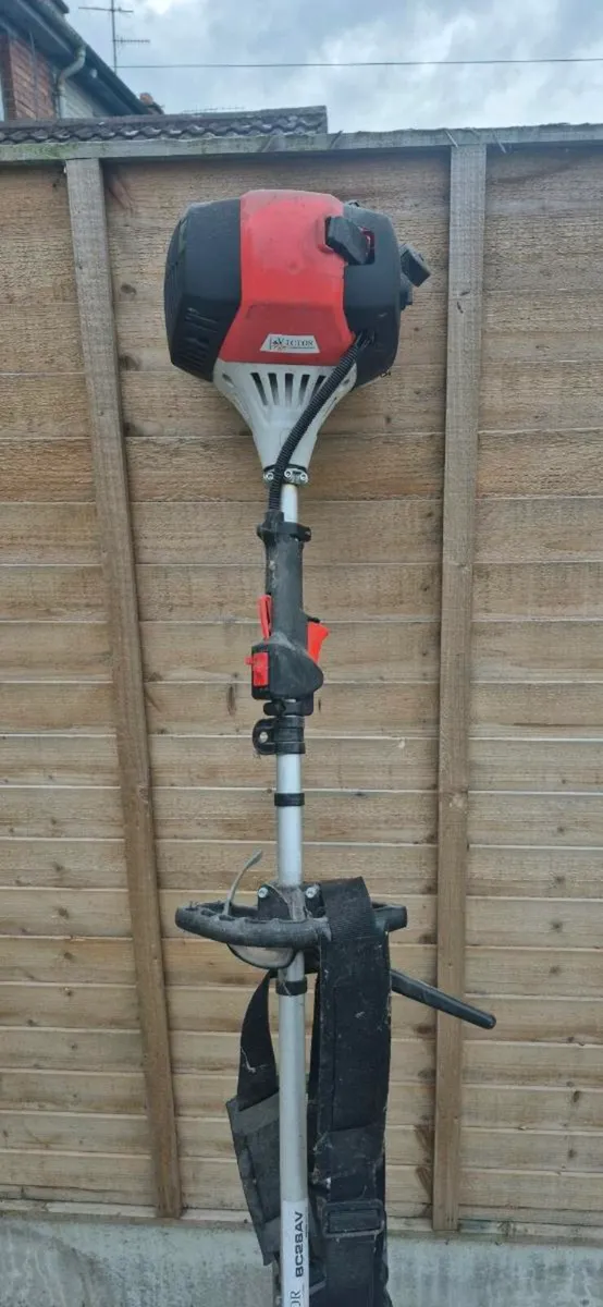 Petrol Strimmer