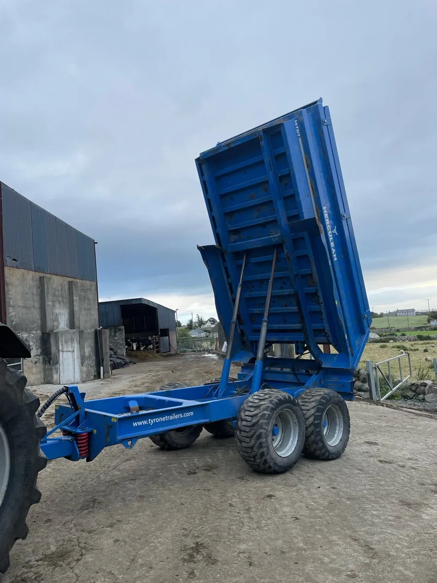 Dump trailer - Image 4