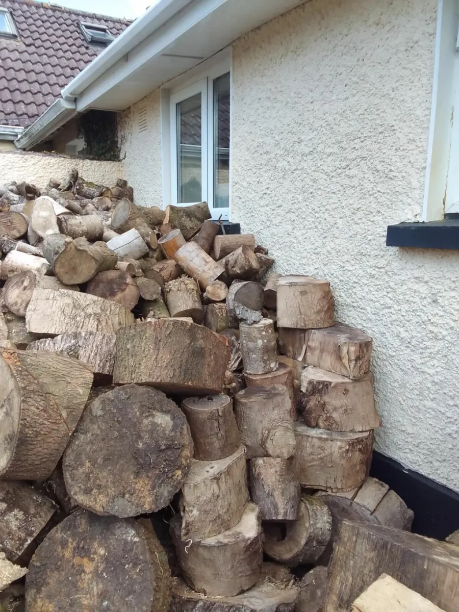 Firewood - Image 1