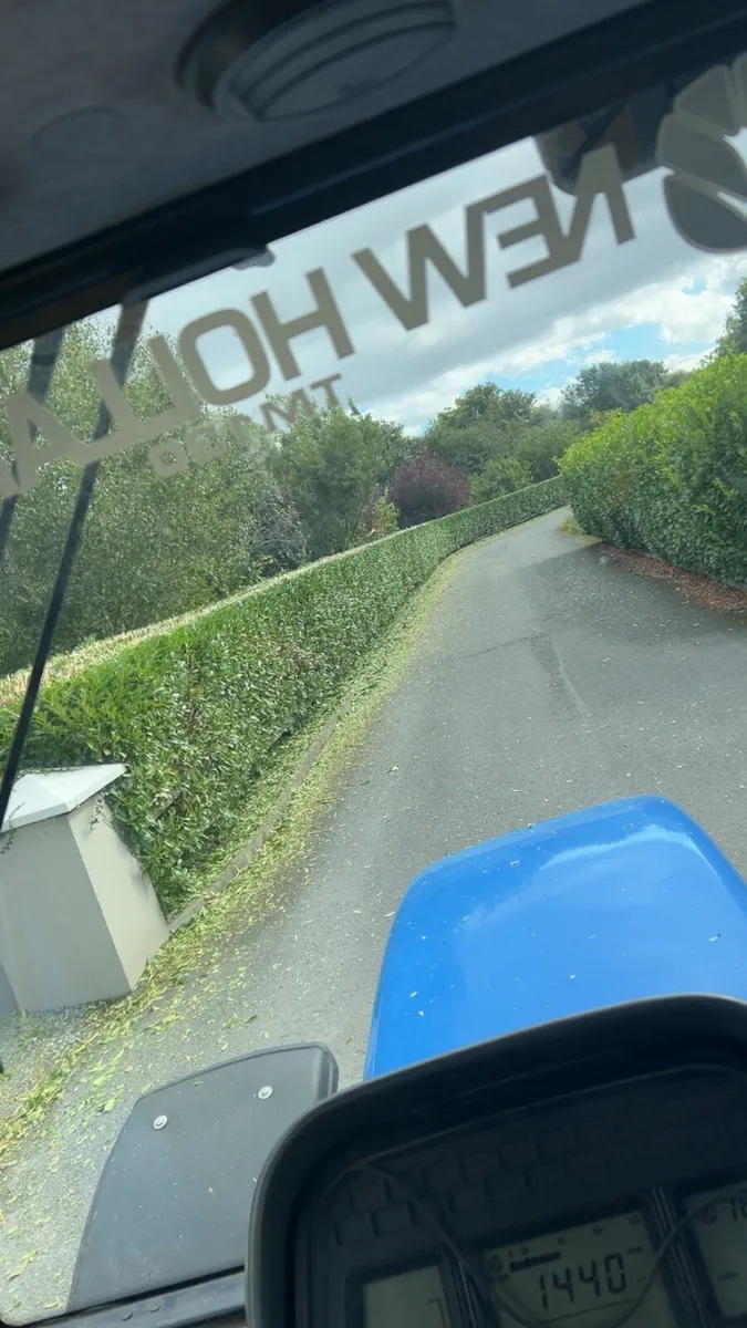 Hedge cutting & mulching service - Image 3