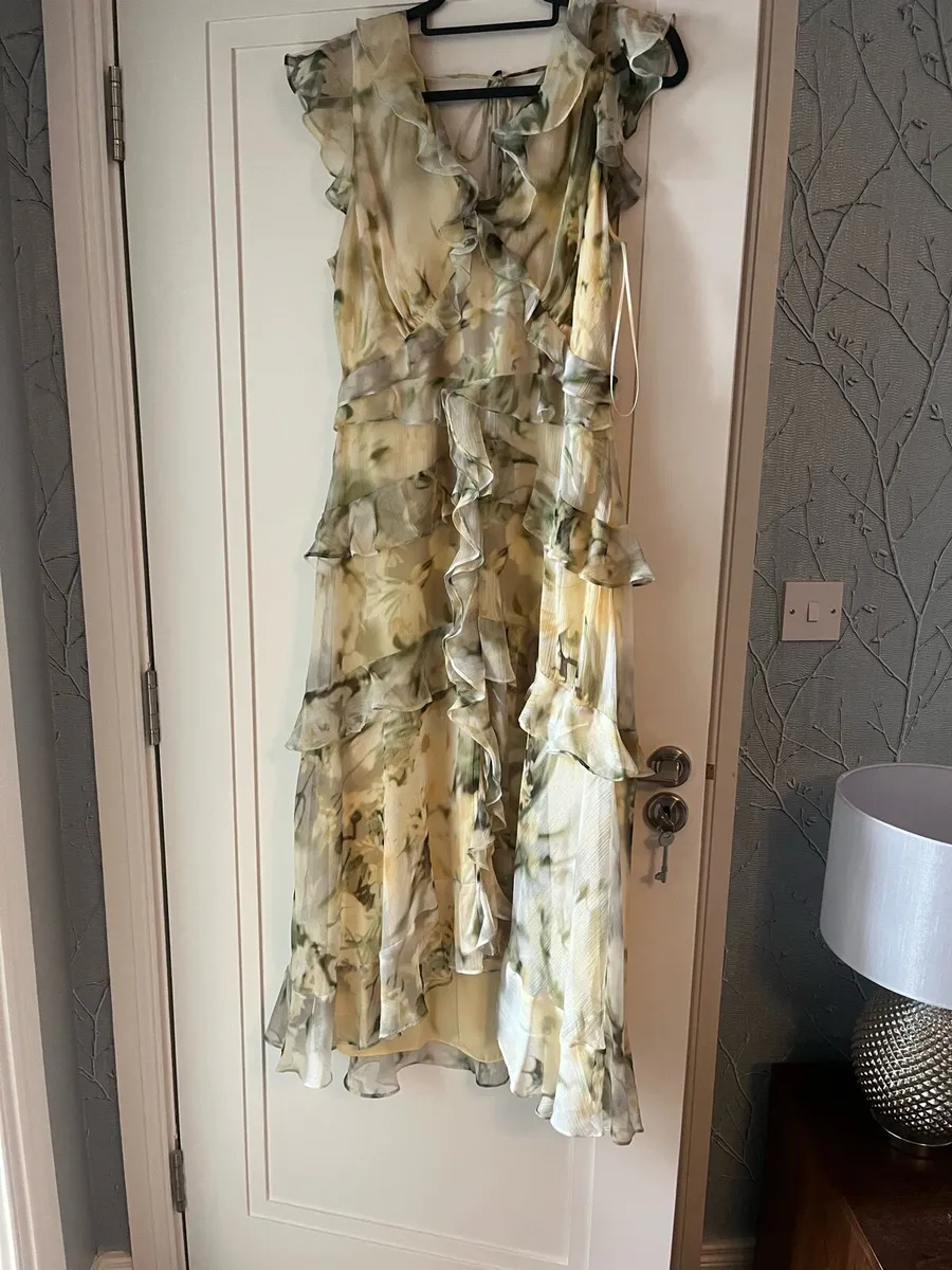 Mint Velvet Dress - Image 3