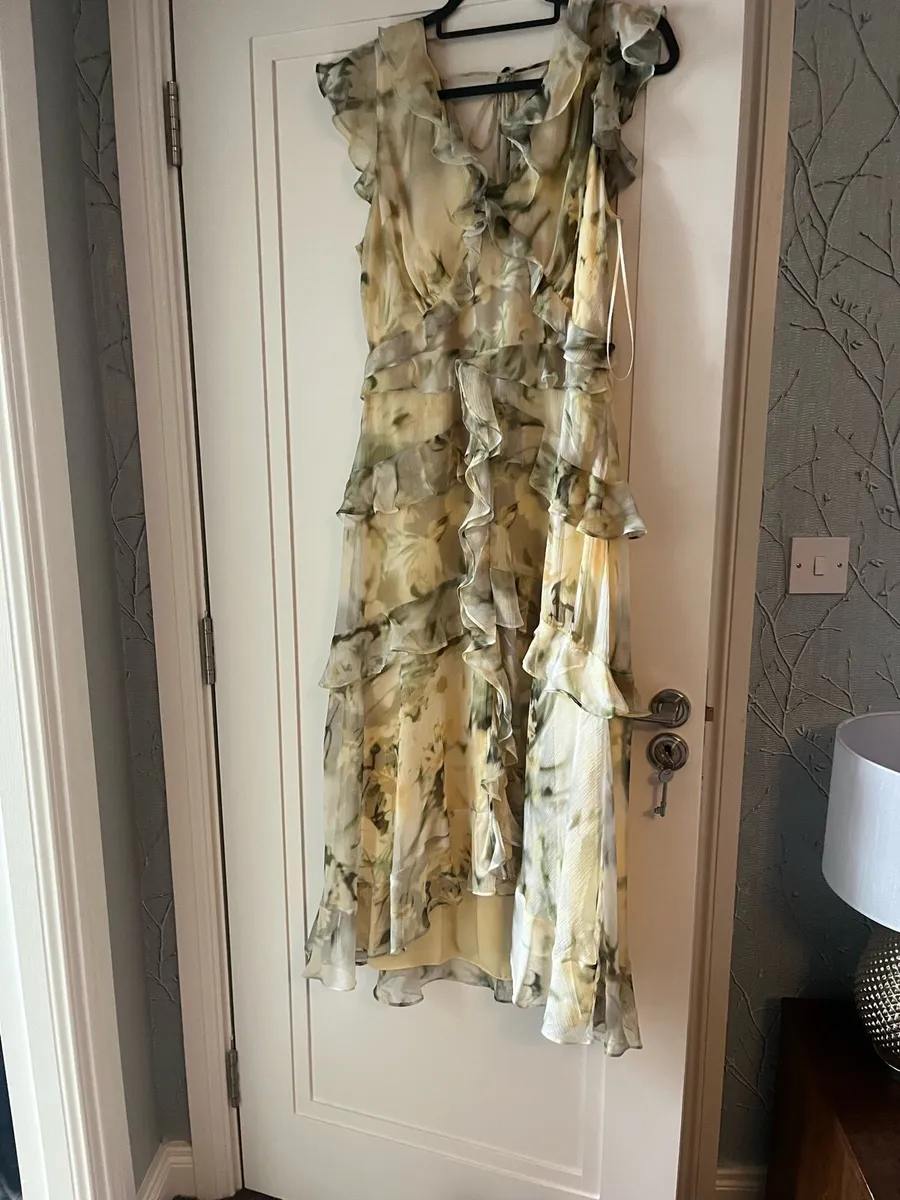 Mint Velvet Dress - Image 4