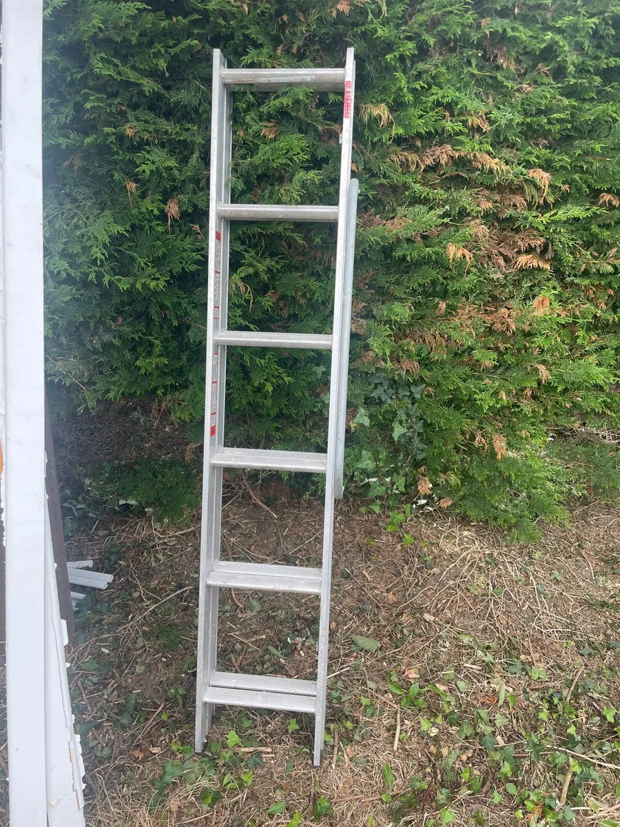 Ladder €35 - Image 1