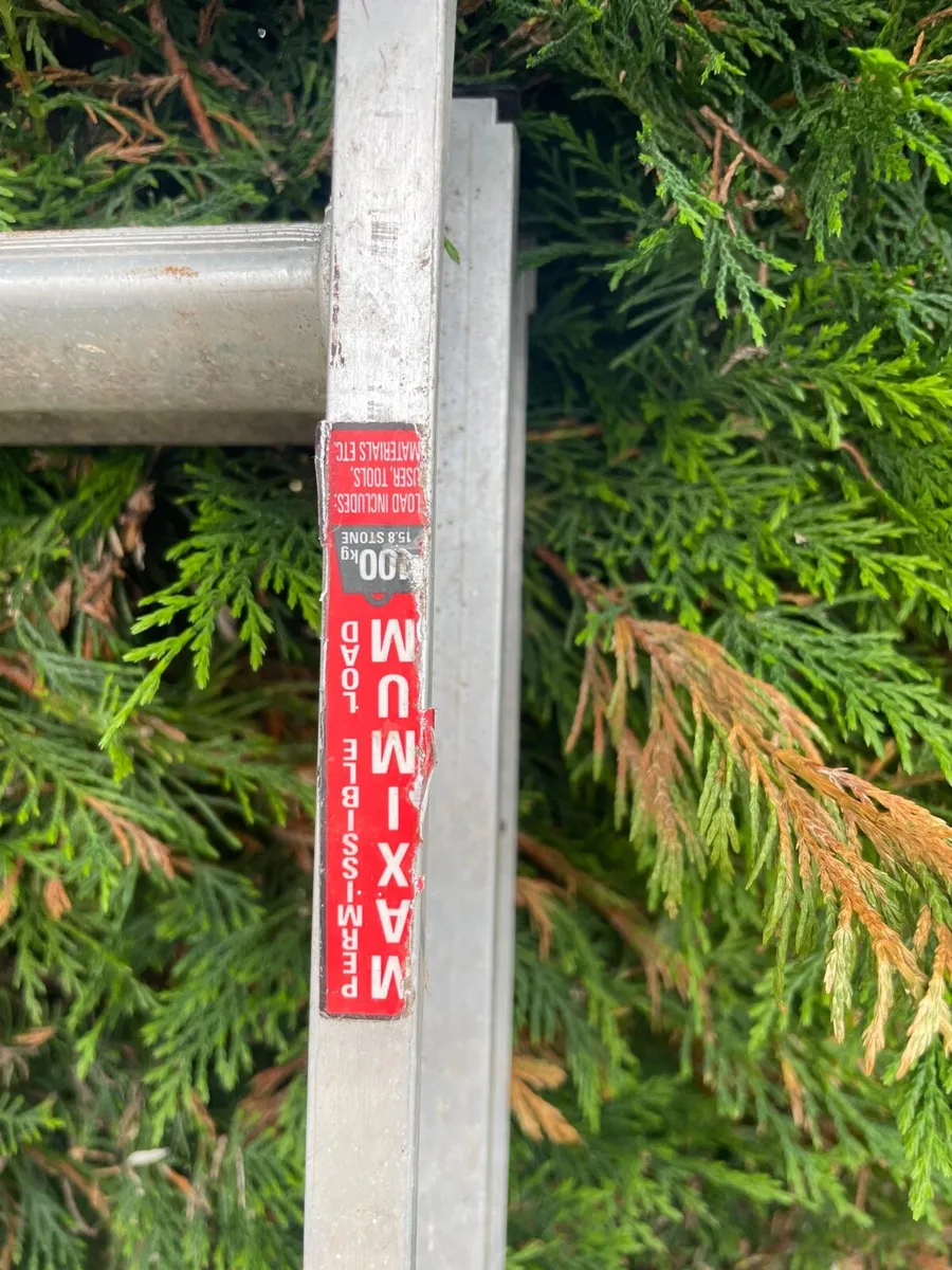 Ladder €35 - Image 2