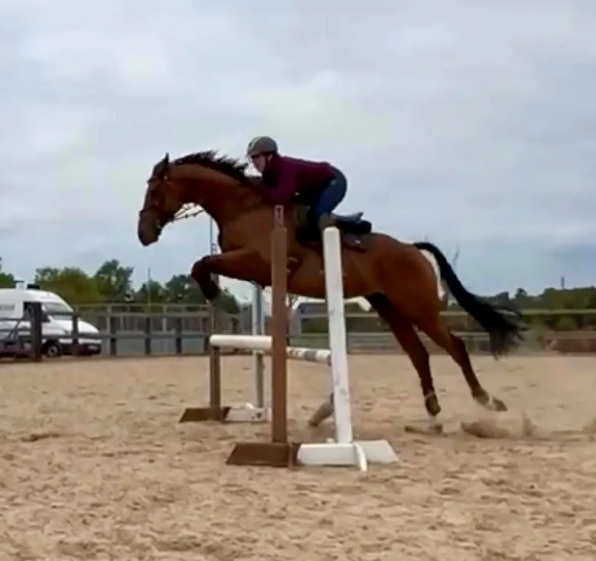 Exceptional Allrounder - Image 3