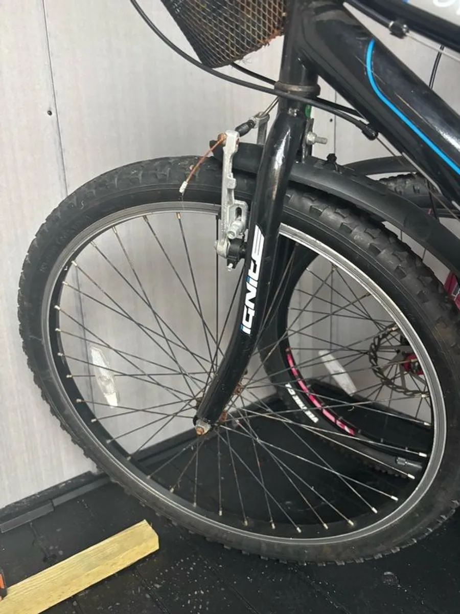 bycycle - Image 3