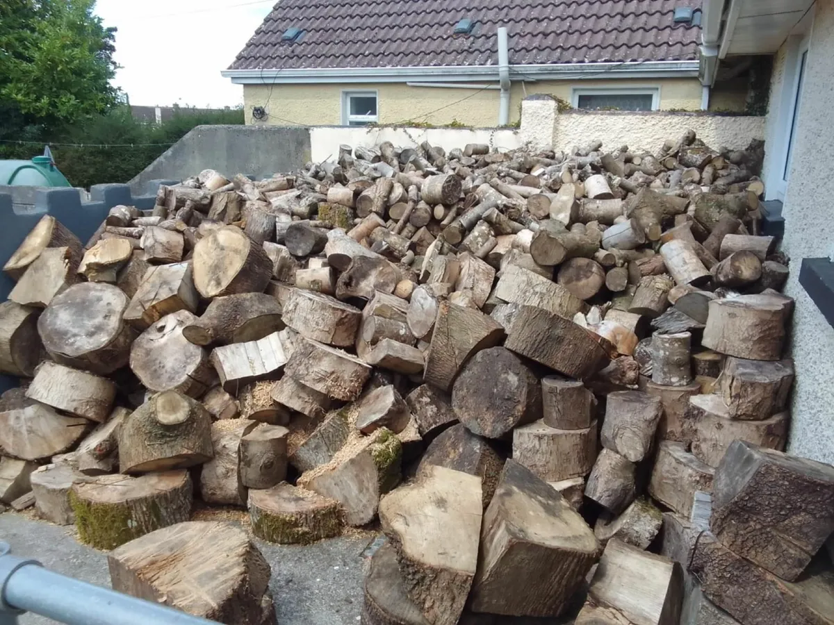 Firewood - Image 2