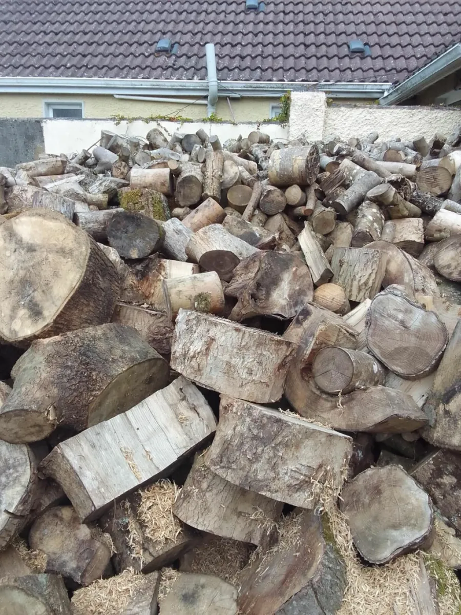 Firewood - Image 3