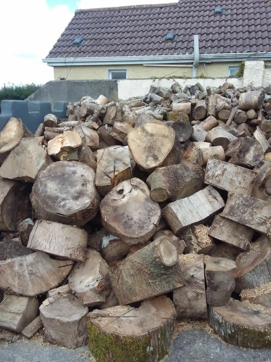 Firewood - Image 4