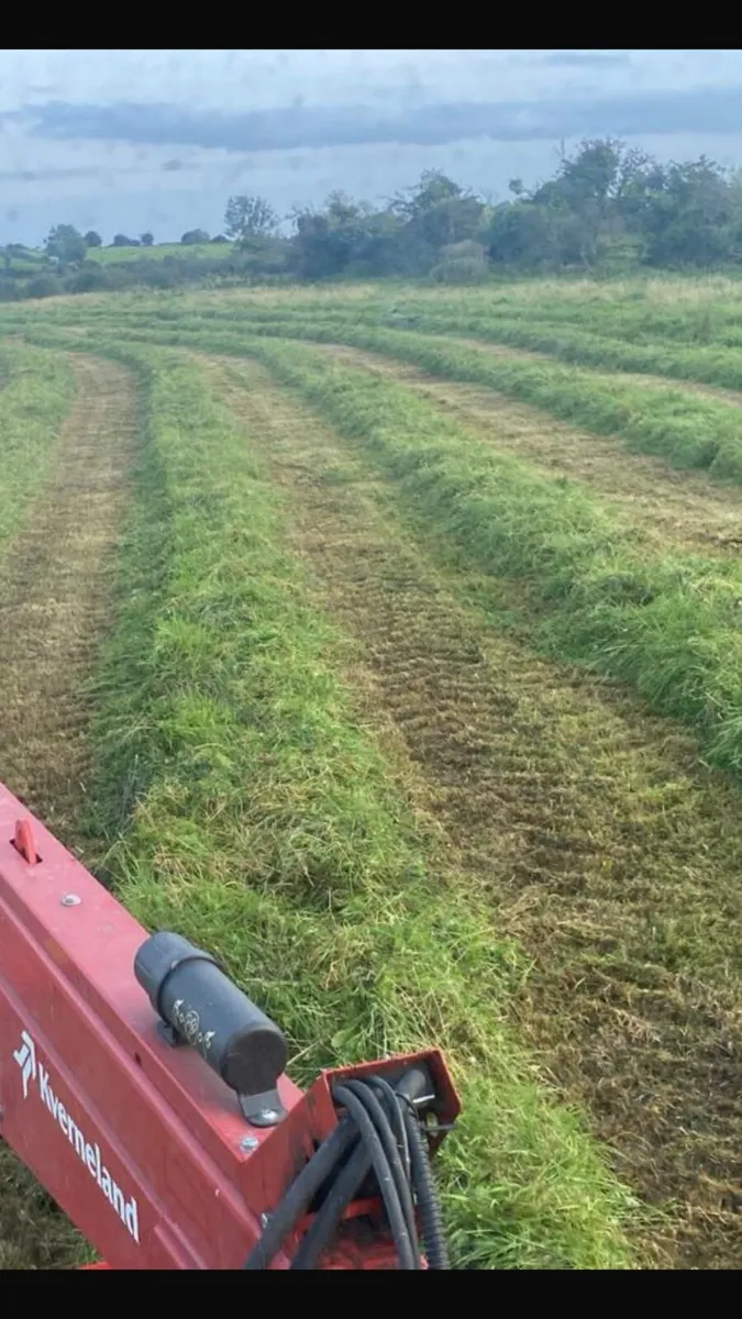 Silage Bales-  Baled 20/08/25 - Image 1