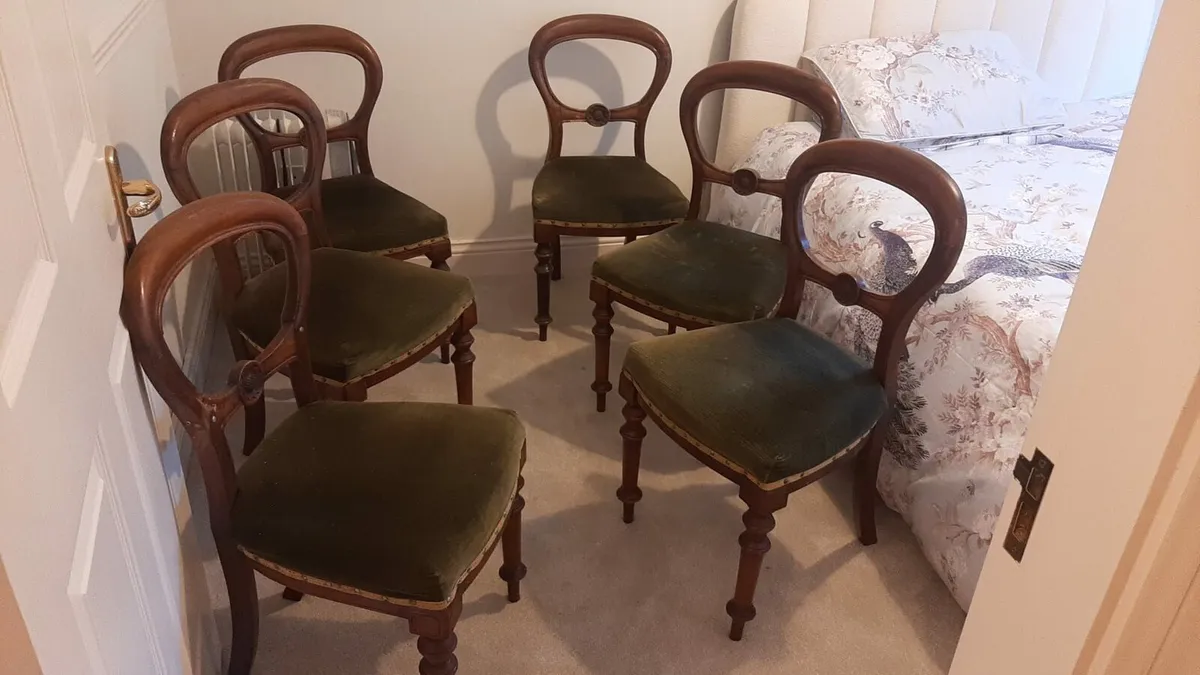 Antique victorian baloon back chairs