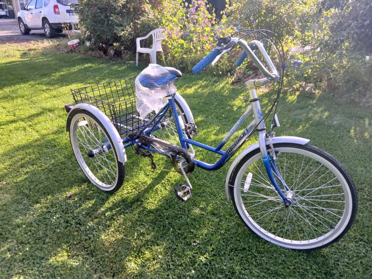 6-speed Tricycle - Image 1
