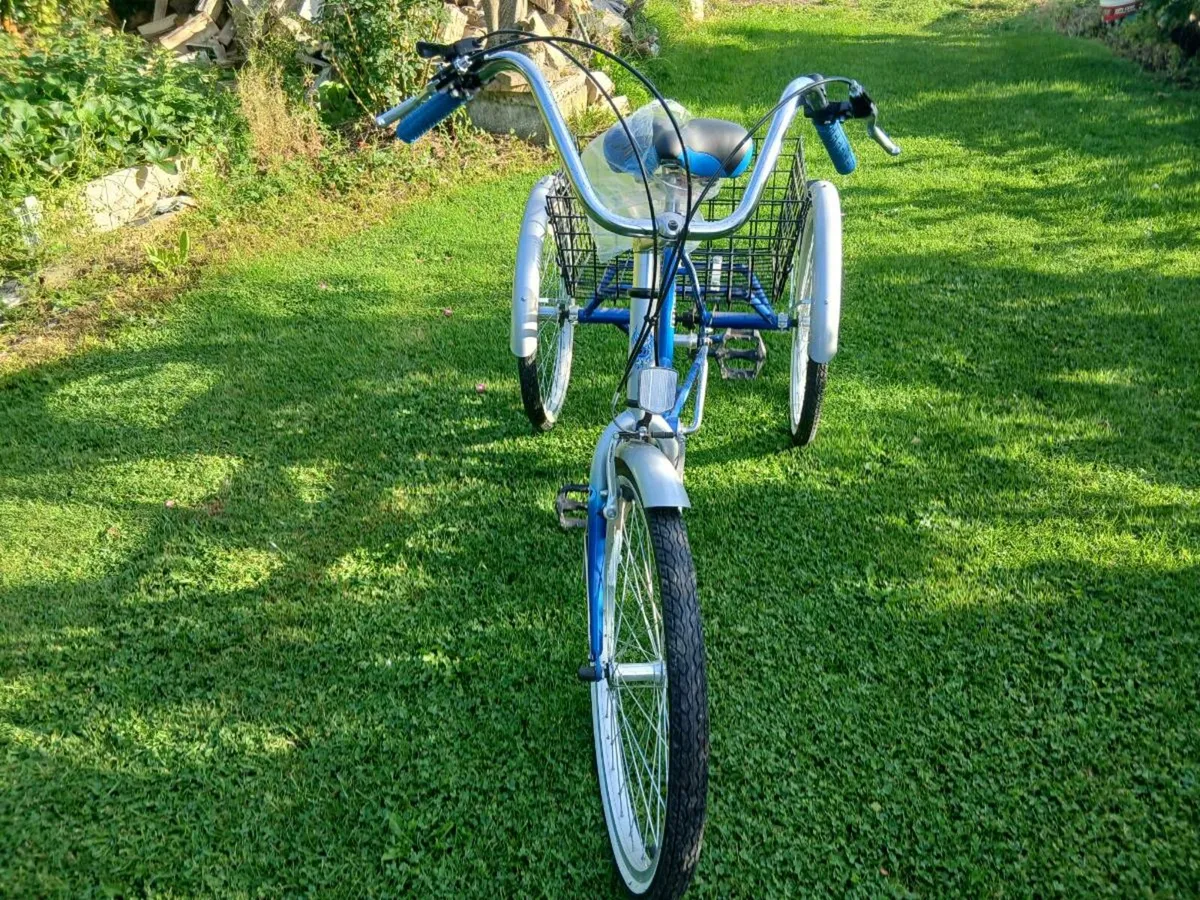 6-speed Tricycle - Image 2