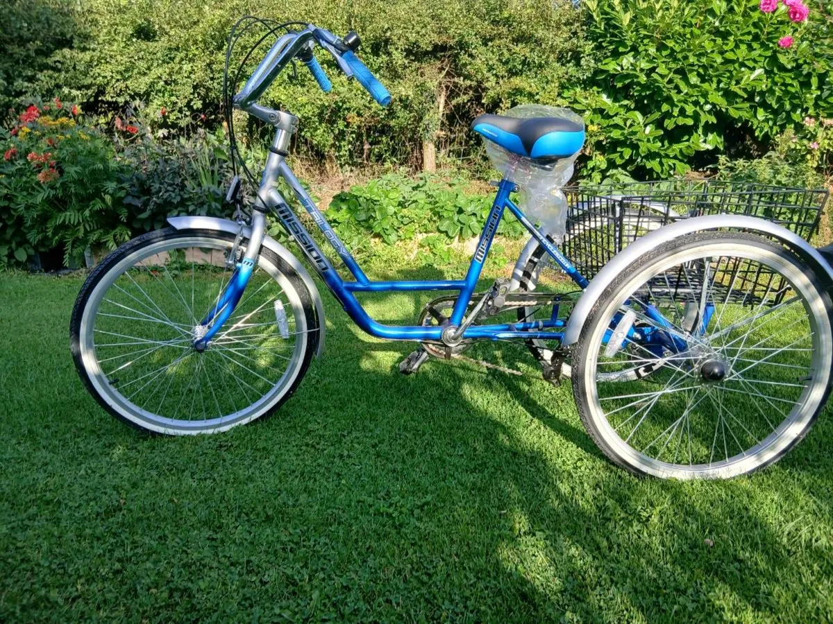 6-speed Tricycle - Image 4