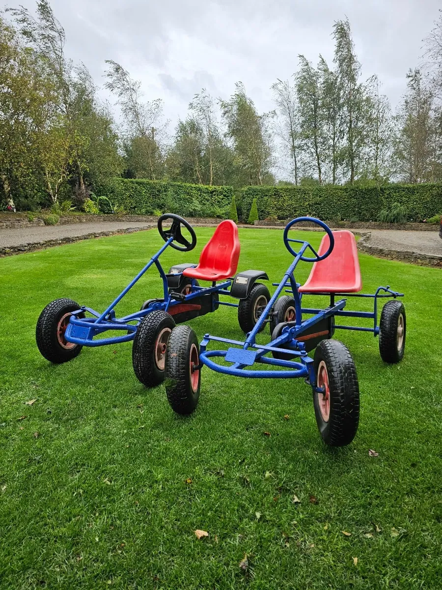 Berg Go Karts  1 or Both - Image 1
