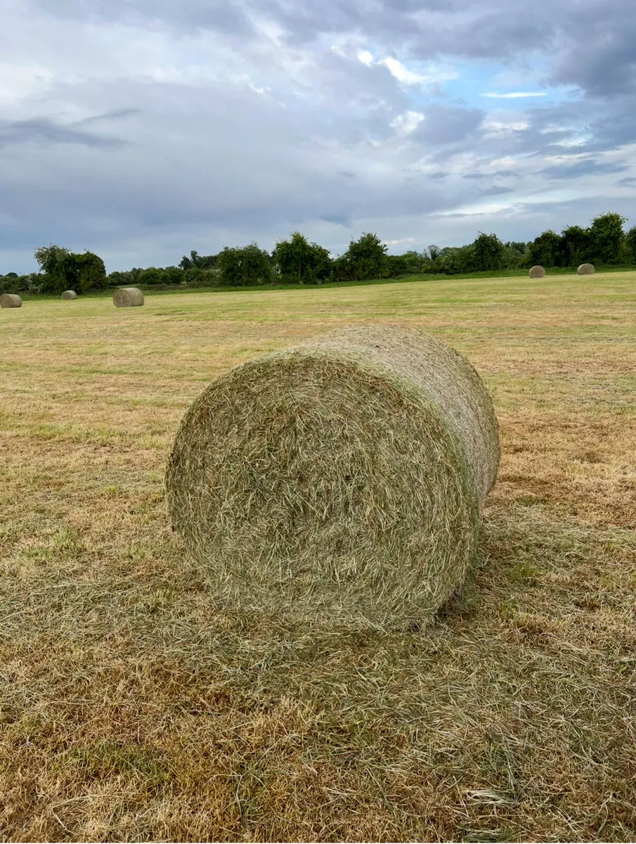 Top quality Hay & Haylage - Image 1