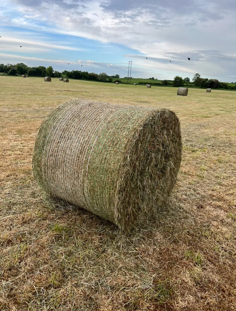 Top quality Hay & Haylage - Image 2