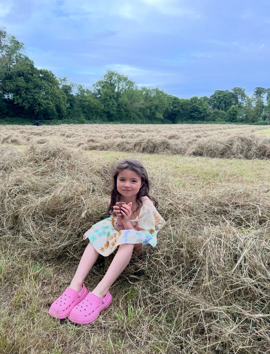 Top quality Hay & Haylage - Image 3