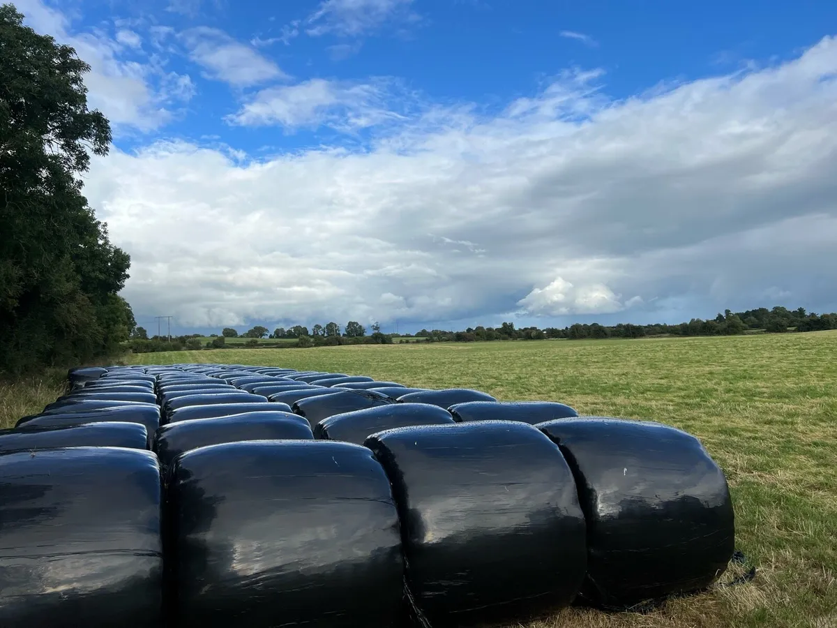 Top quality Hay & Haylage - Image 4