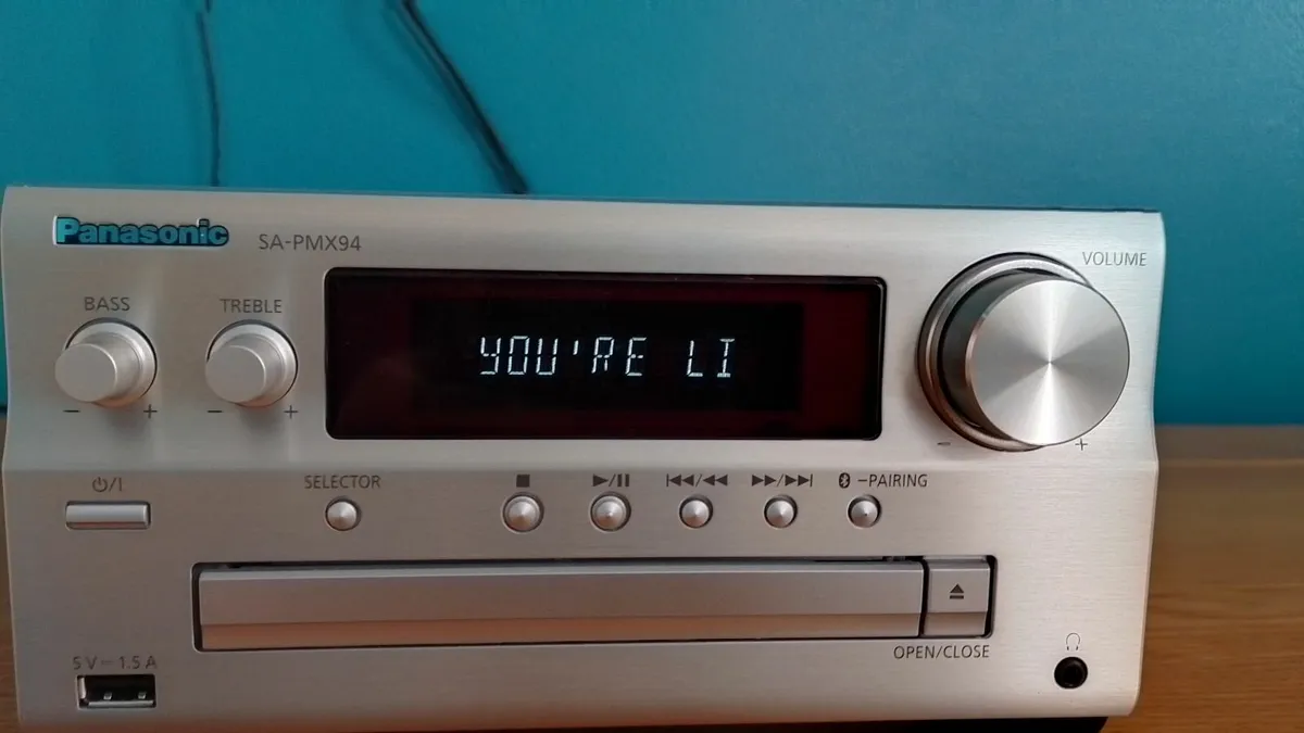 PANASONIC SYSTEM 1 MONTH OLD - Image 4