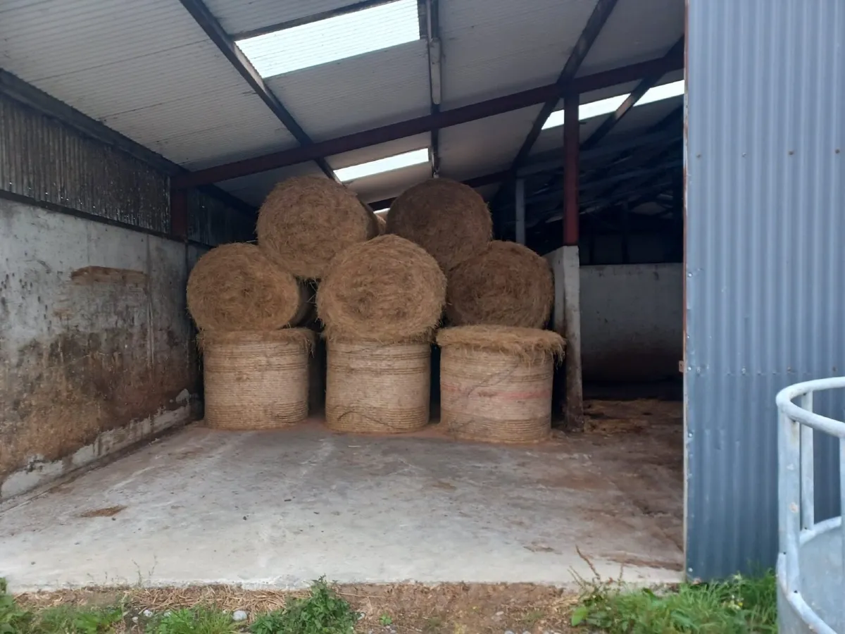 600 bales of hay for sale - Image 3